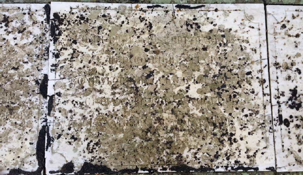 Giuseppe Barellai's Tomb (2).JPG